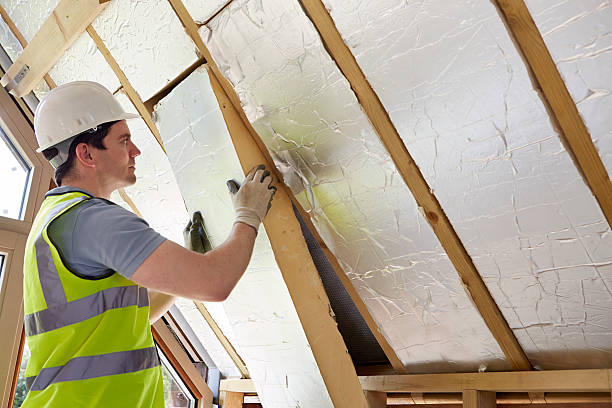 Best Cellulose Insulation in Clifton Springs, NY