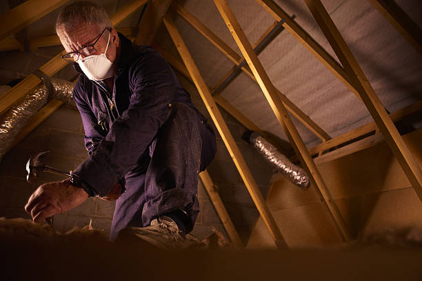 Types of Insulation We Offer in Clifton Springs, NY
